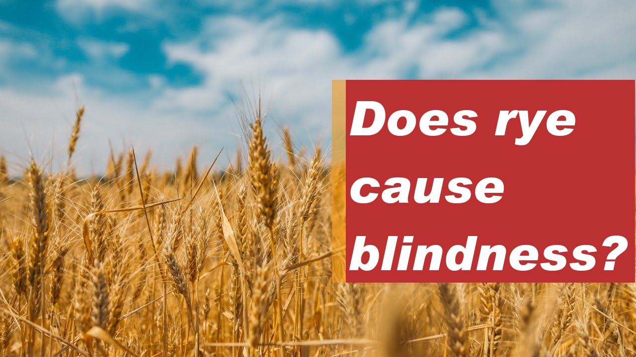 Does rye cause blindness?