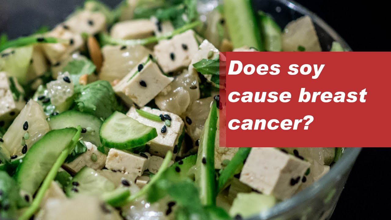 Does soy cause breast cancer?