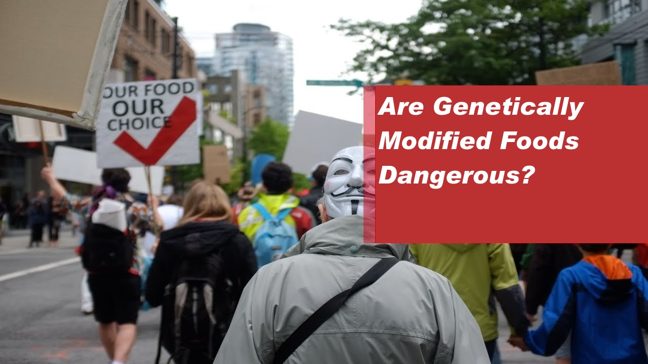 Are Genetically Modified Foods Dangerous?