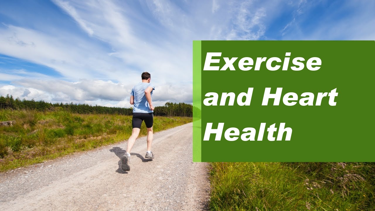 How much does exercise protect the heart?
