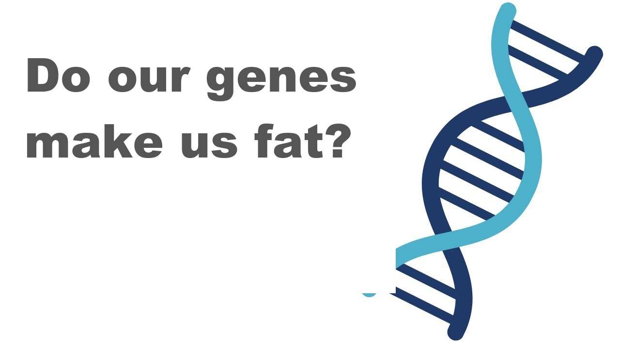 Do our genes make us fat?