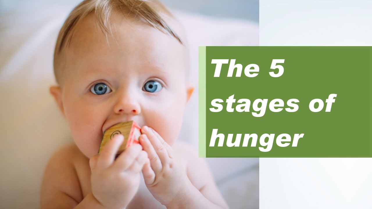 The 5 stages of hunger