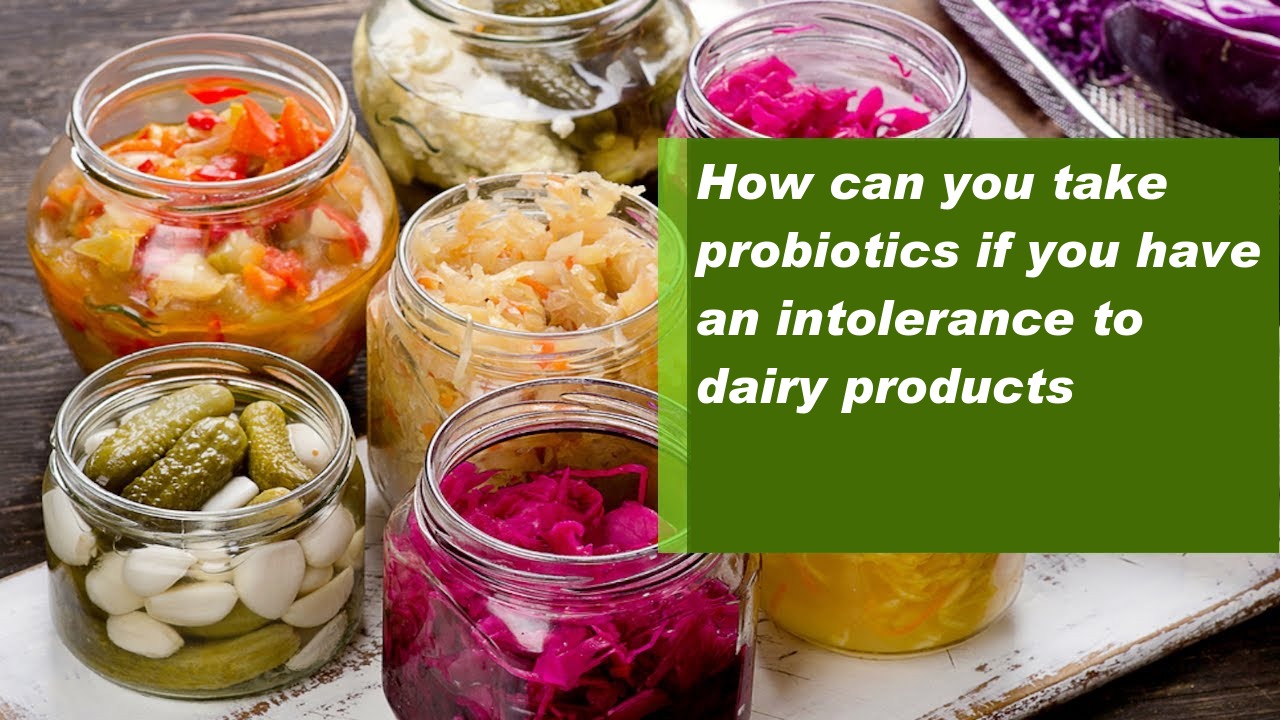 How can you take probiotics if you have an intolerance to dairy products