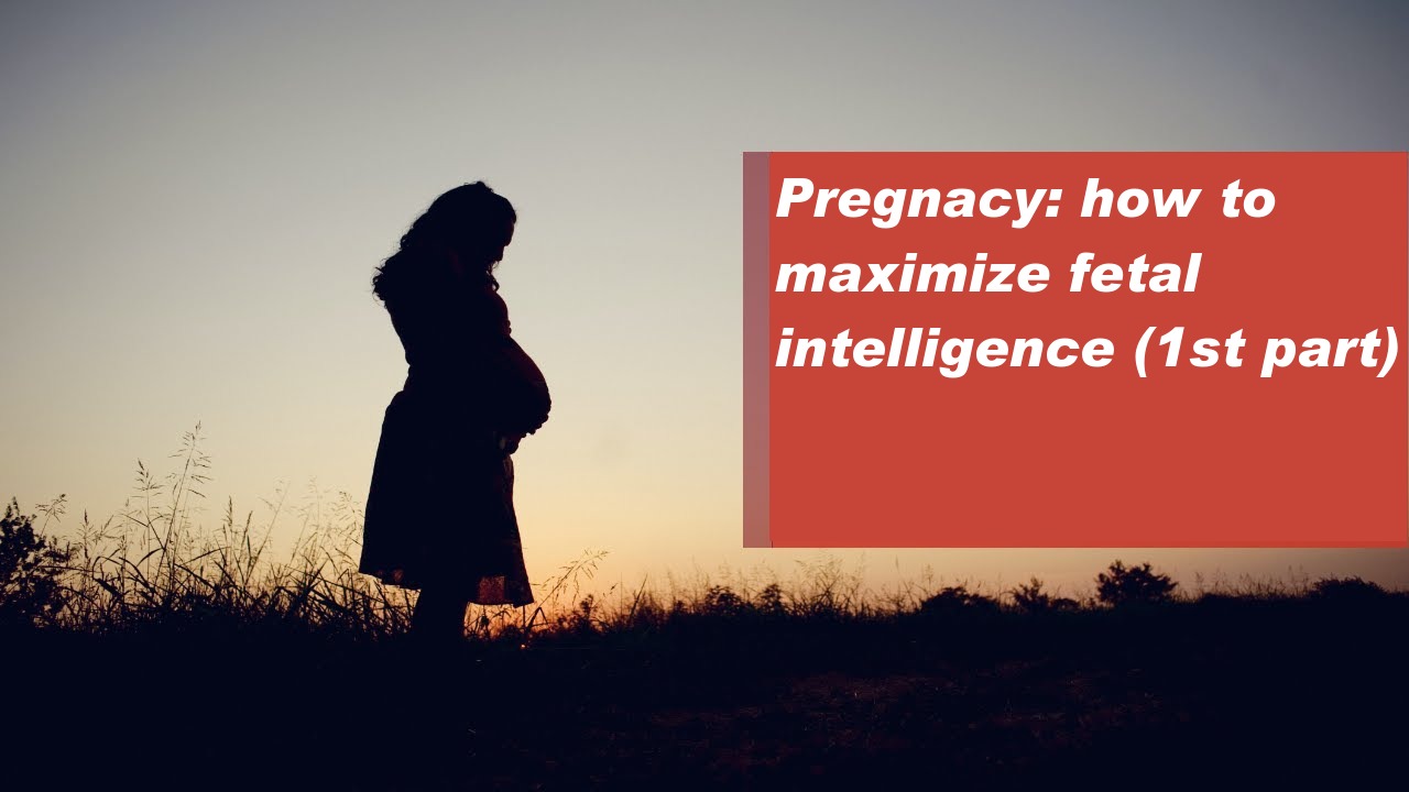 Pregnacy: how to maximize fetal intelligence (1st part)