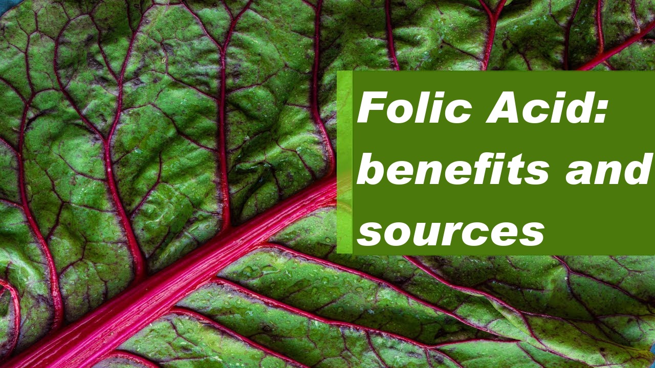 Folic Acid: benefits and sources