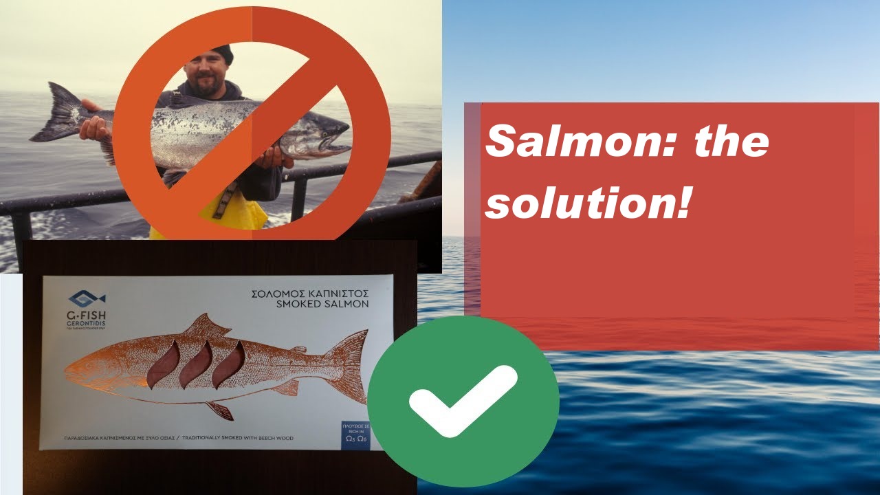 Salmon: the solution!