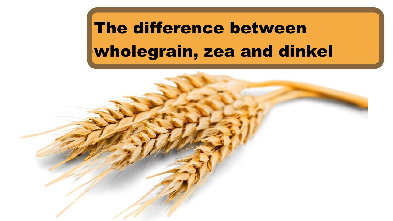 The difference between wholegrain, zea and dinkel