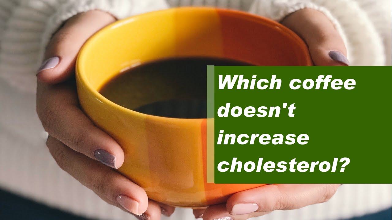Which coffee doesn't increase cholesterol?