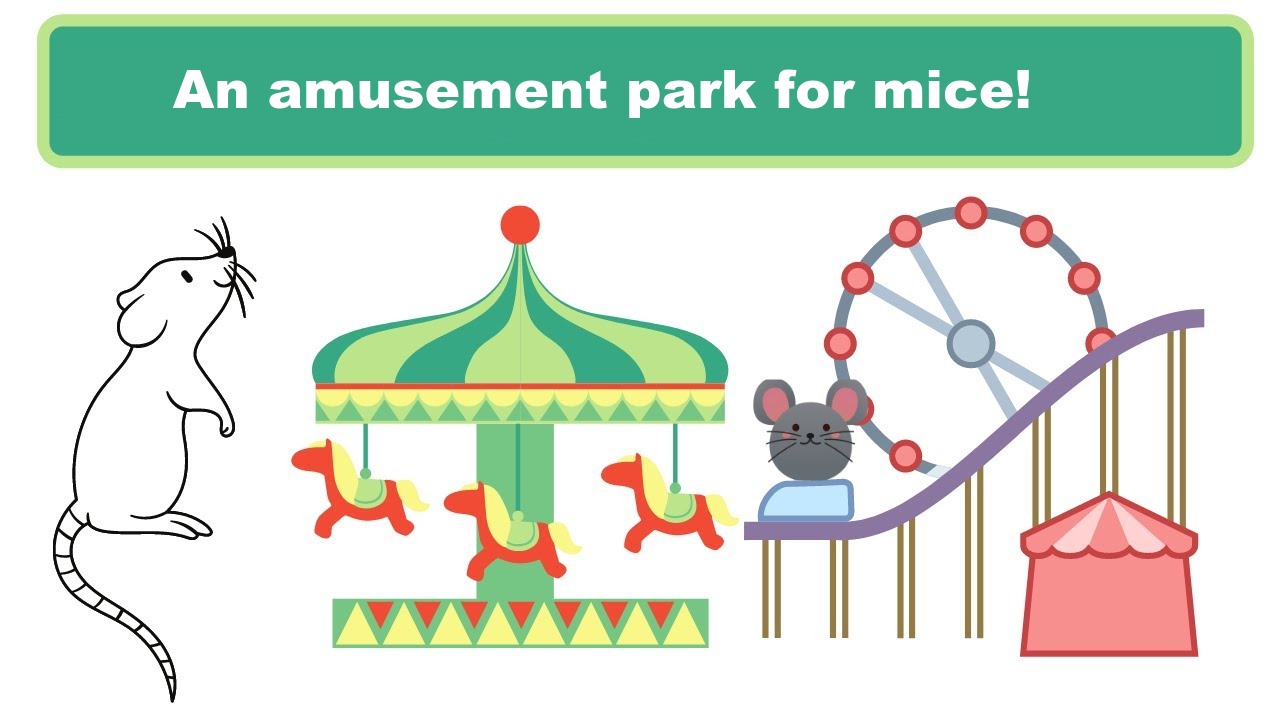 An amusement park for mice!