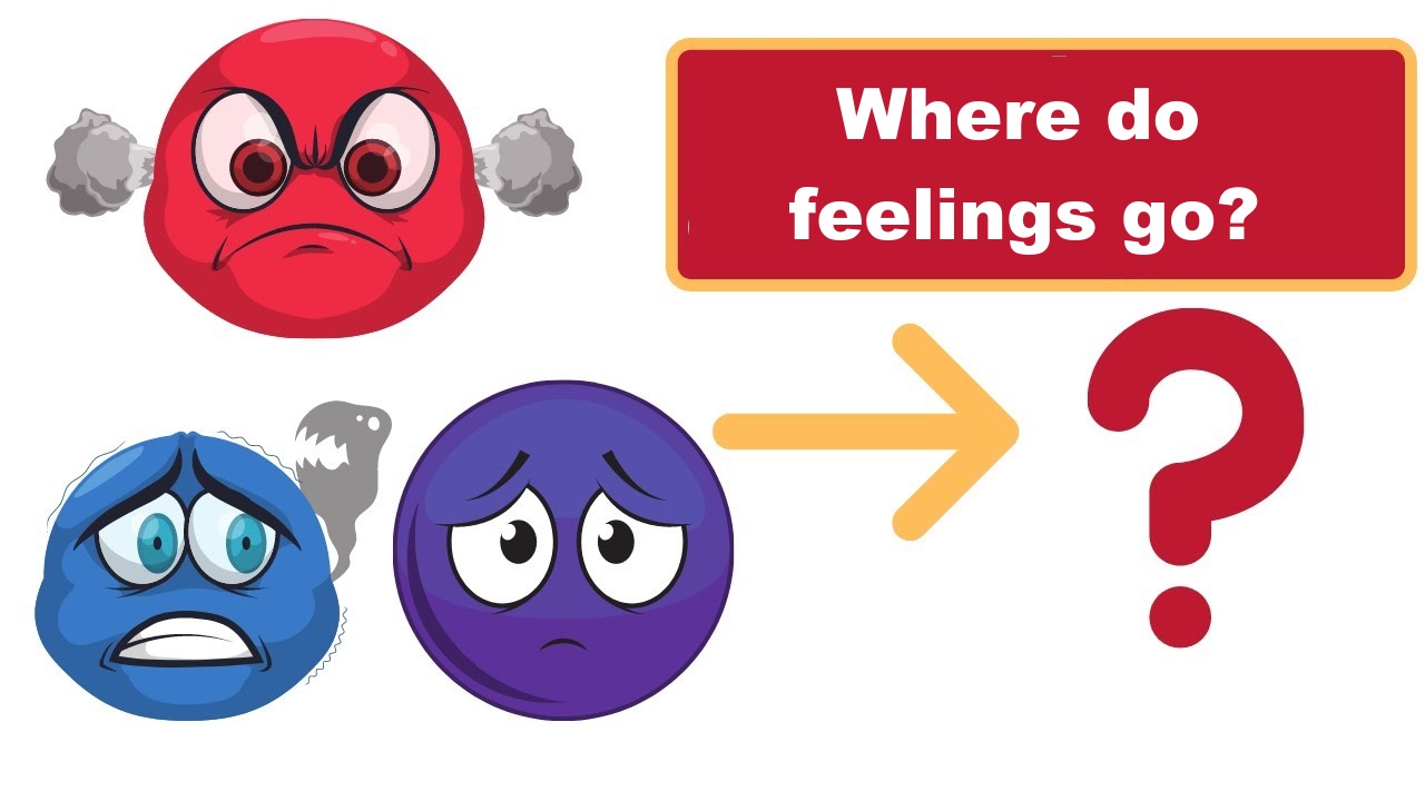 Where do feelings go?