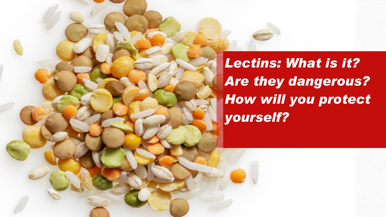 Lectins: What is it? Are they dangerous? How will you protect yourself?