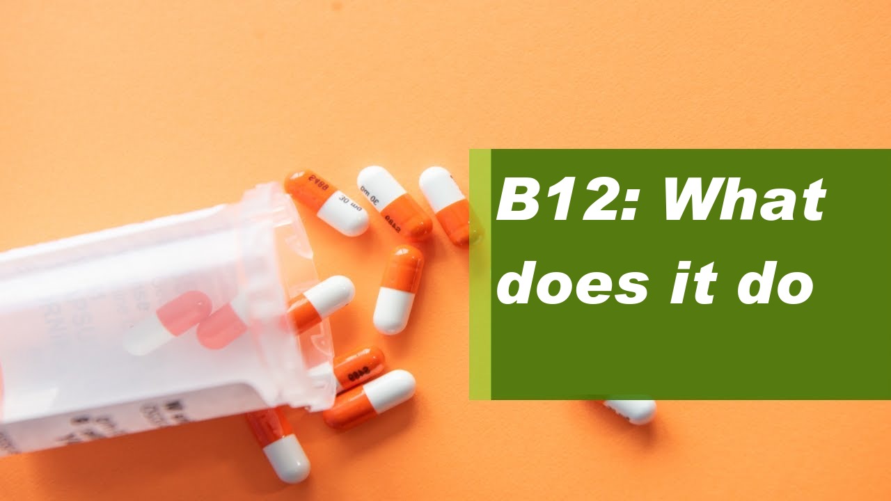 B12: What does it do